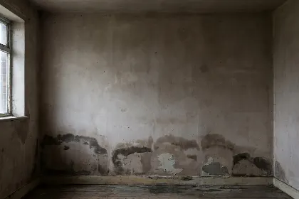 Mur mitoyen humide